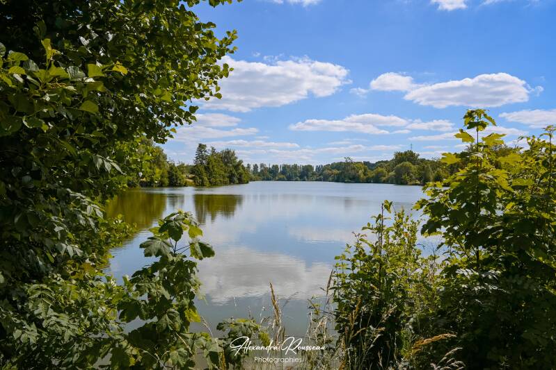 dsc_0124-standard.jpg