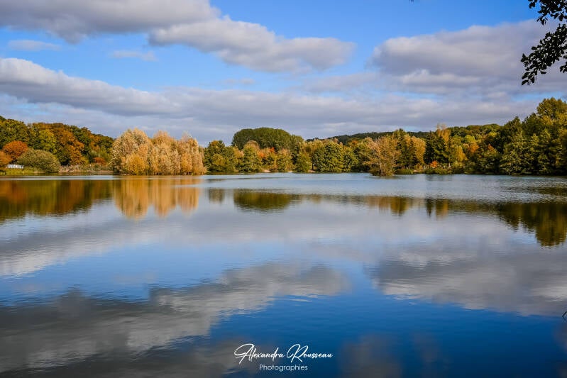 dsc_0214-standard.jpg