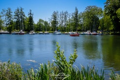 dsc_0260-standard.jpg