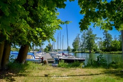 dsc_0263-standard.jpg