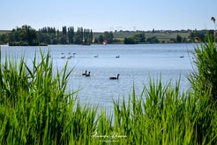 dsc_0328-standard.jpg
