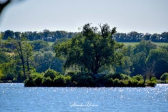 dsc_0334-standard.jpg