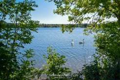dsc_0335-standard.jpg