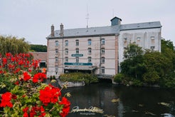 dsc_0404-standard.jpg