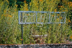 dsc_0410-standard.jpg