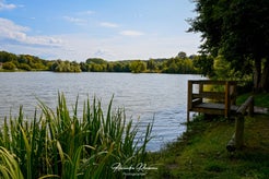 dsc_0813-standard.jpg