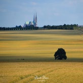 dsc_0833-standard.jpg