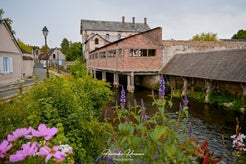 dsc_0851-standard.jpg