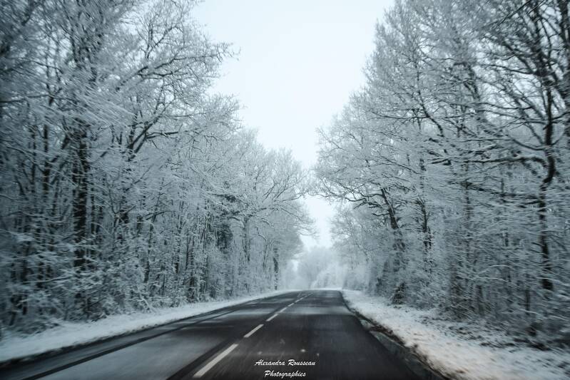 dsc_0859-standard-lo3la3.jpg