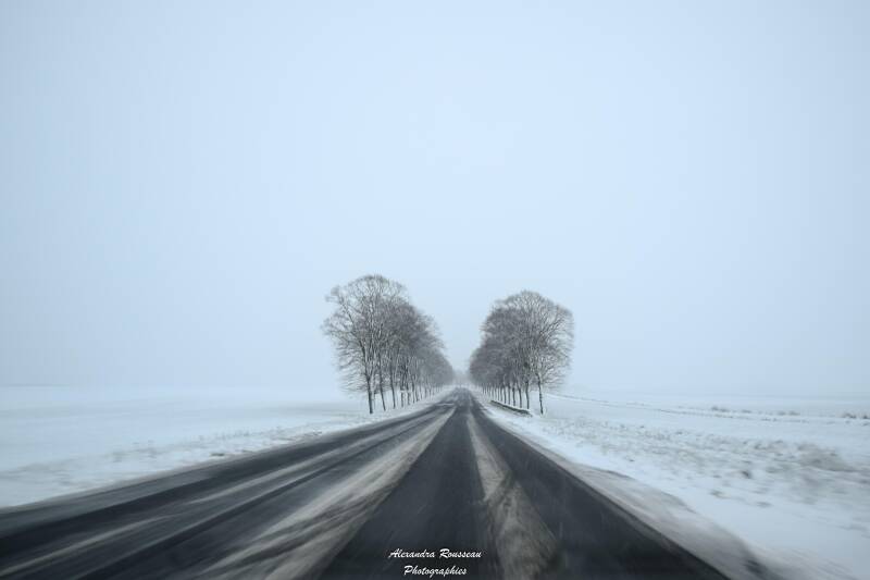 dsc_0864-standard-64qwpq.jpg