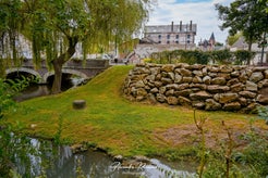 dsc_0867-standard.jpg