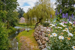 dsc_0869-standard.jpg