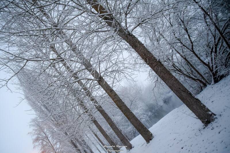 dsc_0901-standard.jpg