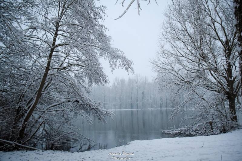dsc_0905-standard.jpg