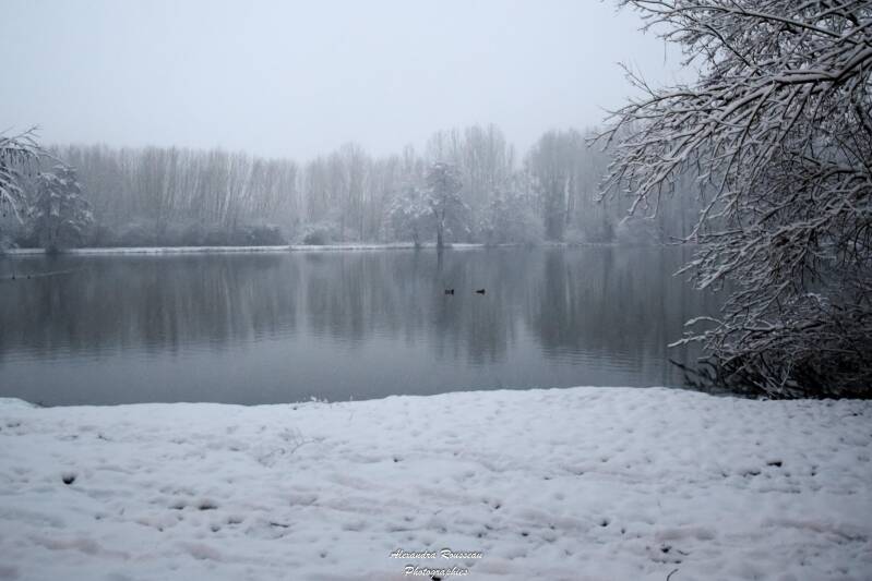 dsc_0907-standard.jpg