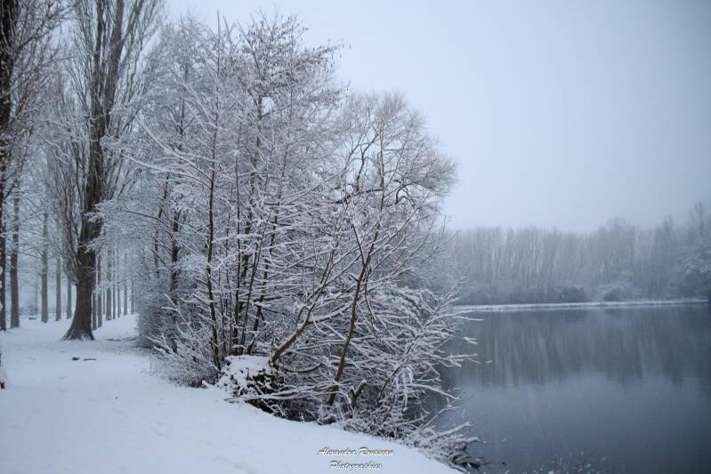 dsc_0922-standard-fihght.jpg