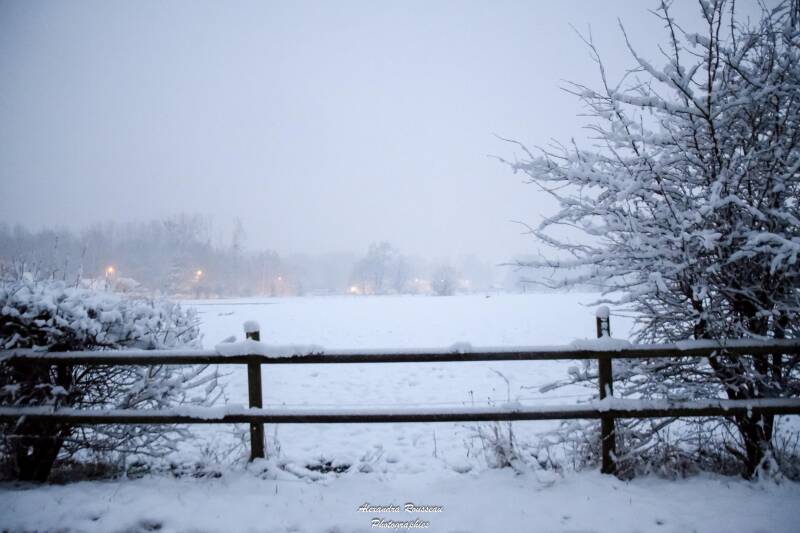 dsc_0938-standard-o31qj1.jpg