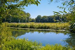 dsc_0966-standard.jpg