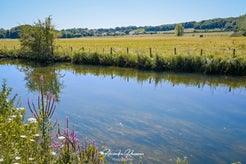 dsc_0972-standard.jpg