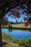 dsc_0979-standard.jpg