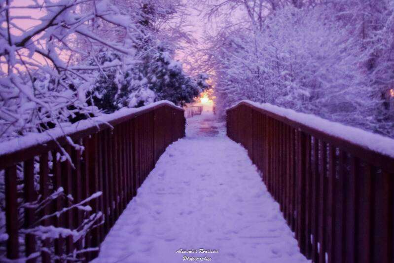 dsc_0996-standard.jpg