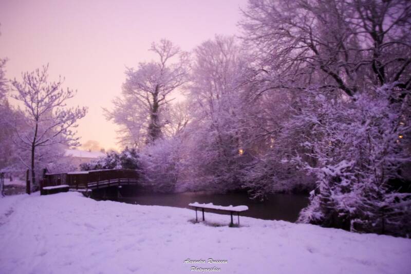 dsc_1004-standard.jpg