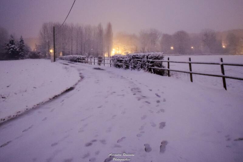 dsc_1010-standard.jpg
