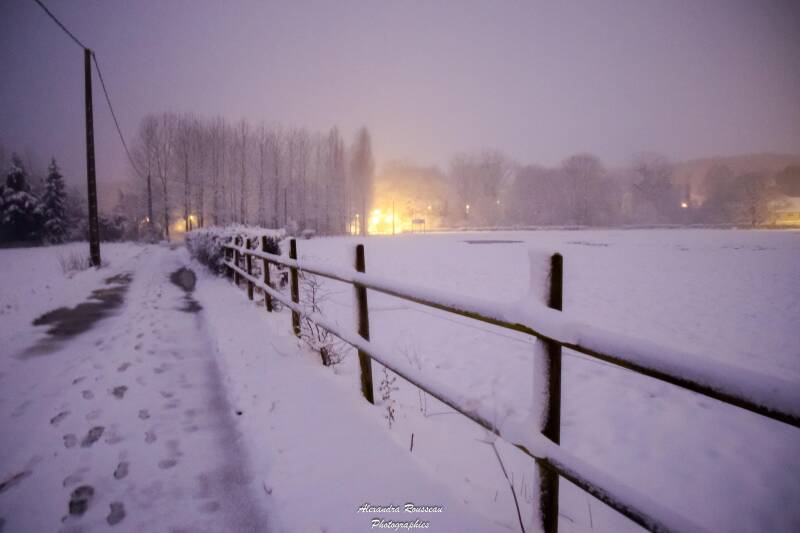 dsc_1011-standard.jpg