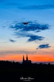 dsc_1105-standard.jpg