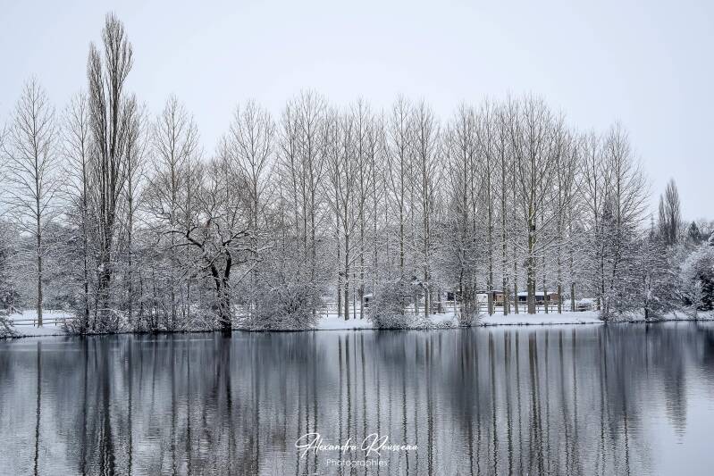 dsc_1273-standard-isxeab.jpg