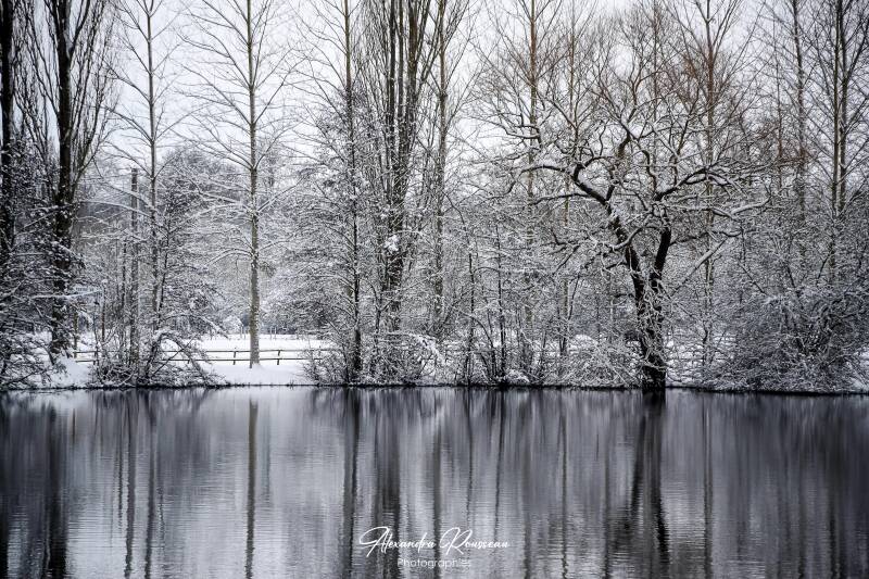 dsc_1287-standard.jpg
