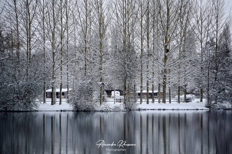 dsc_1289-standard-wgbil6.jpg