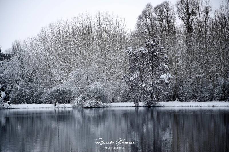 dsc_1290-standard.jpg