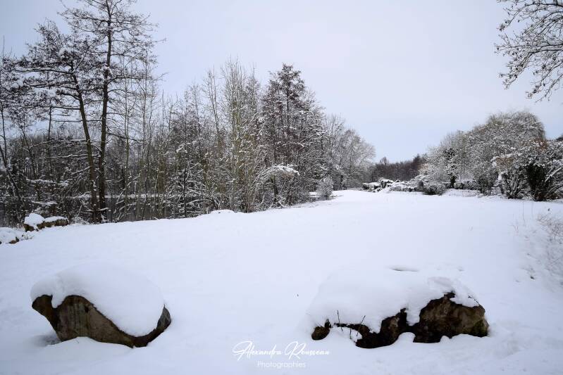 dsc_1324-standard.jpg