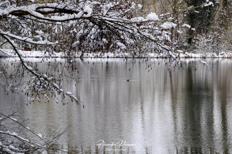 dsc_1328-standard.jpg