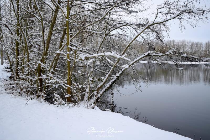 dsc_1336-standard.jpg