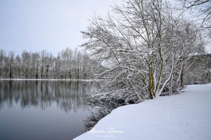 dsc_1338-standard.jpg