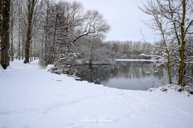 dsc_1340-standard.jpg