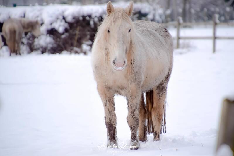 dsc_1346-standard.jpg