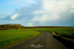 dsc_1366-standard.jpg