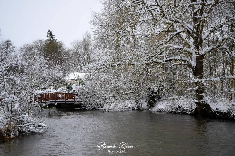dsc_1369-standard.jpg