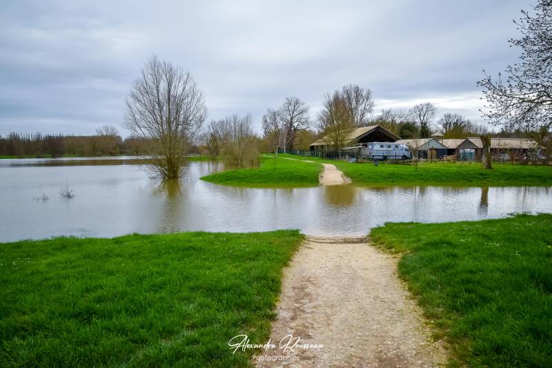 dsc_1373-standard.jpg