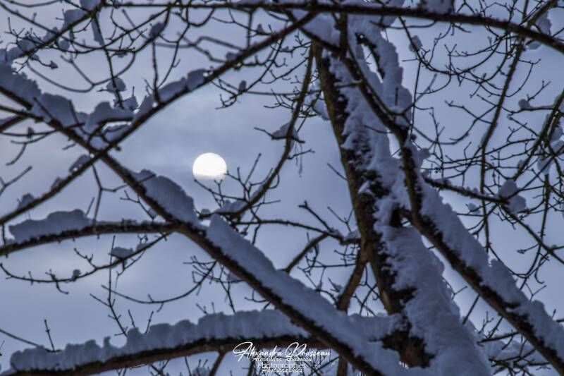 dsc_1427-standard-h5b02d.jpg
