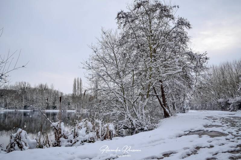 dsc_1456-standard.jpg