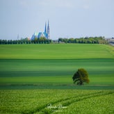 dsc_1462-standard.jpg