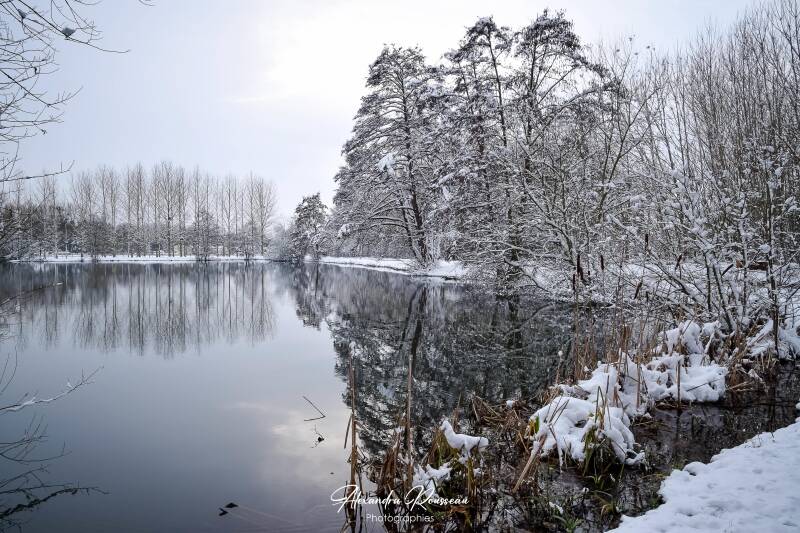 dsc_1466-standard-fq23mm.jpg