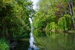 dsc_1481-standard.jpg