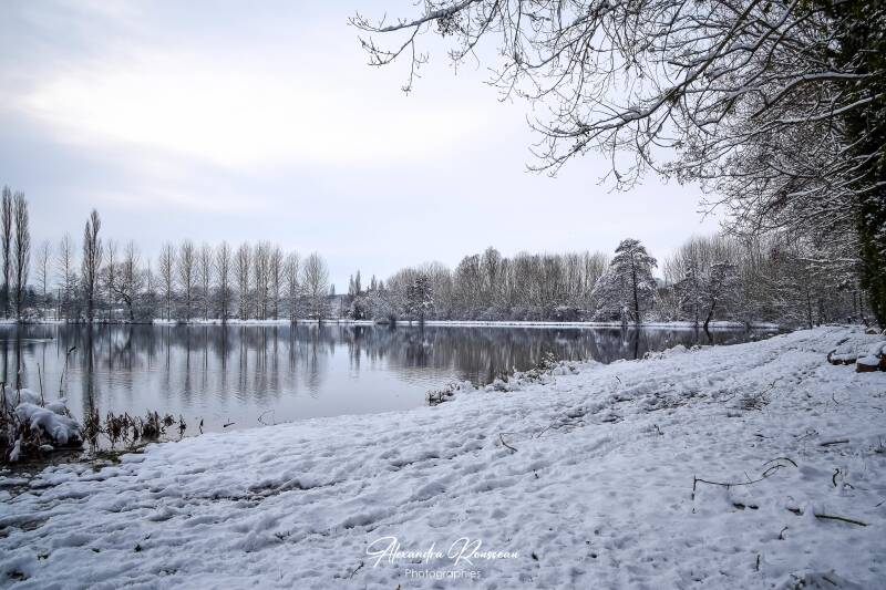 dsc_1484-standard.jpg