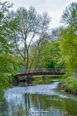 dsc_1505-standard.jpg
