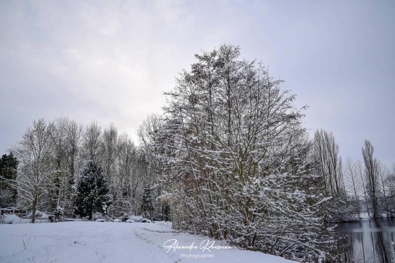 dsc_1524-standard.jpg